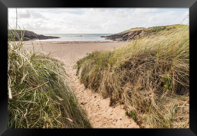 Trail down to Porth Nobla Framed Print by Jason Wells