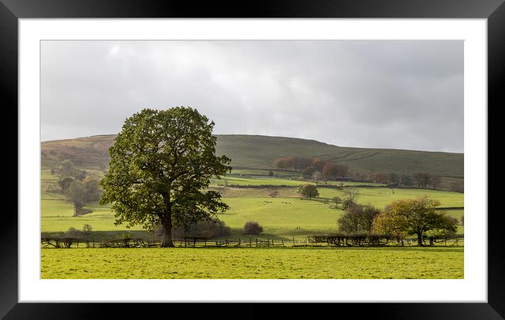 Derbyshire Dales landscape Framed Mounted Print by Jason Wells