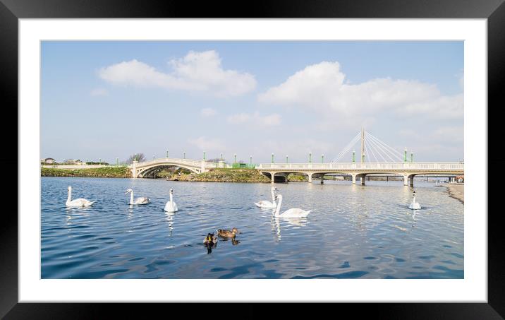 Southport Marina in spring Framed Mounted Print by Jason Wells