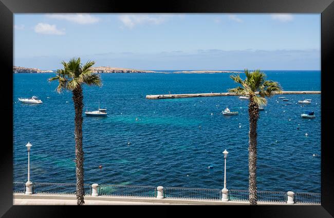 Palm trees along the promenade Framed Print by Jason Wells