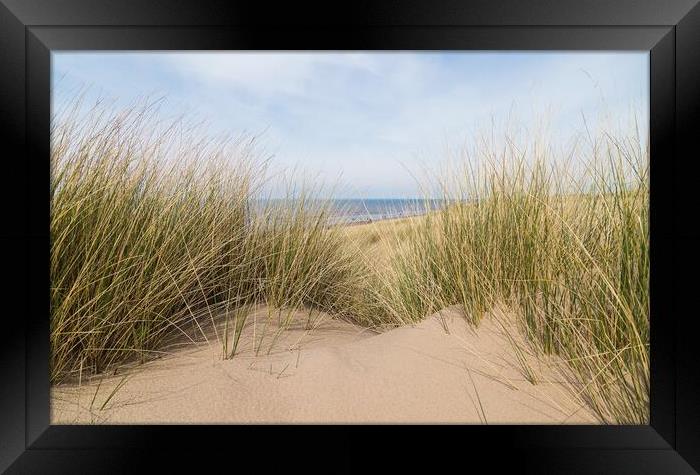 Sand dunes over Formby beach Framed Print by Jason Wells