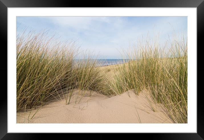 Sand dunes over Formby beach Framed Mounted Print by Jason Wells