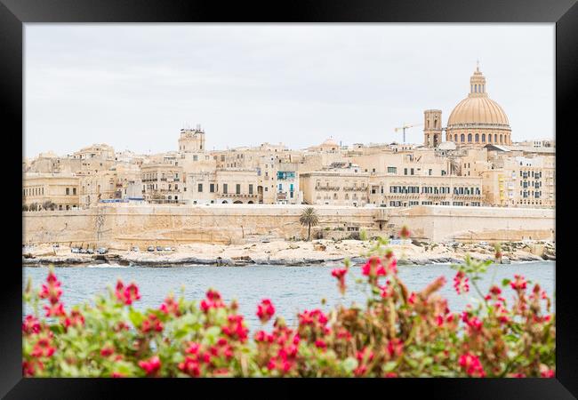 Pretty flowers in front of the Valletta skyline Framed Print by Jason Wells