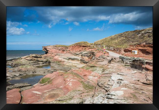 Red rock on Hilbre Island Framed Print by Jason Wells