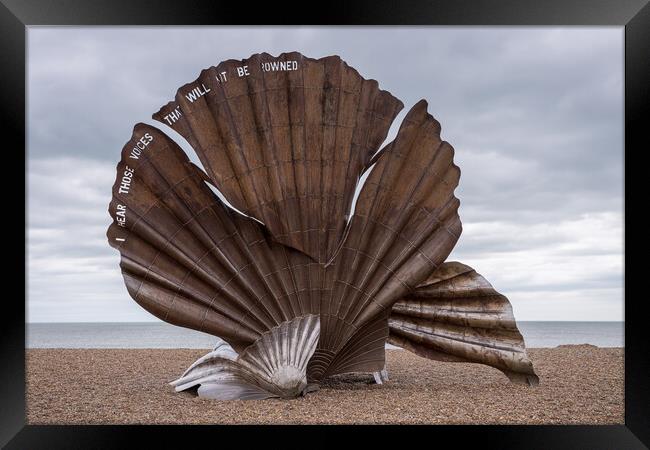 The Scallop sculpture Framed Print by Jason Wells