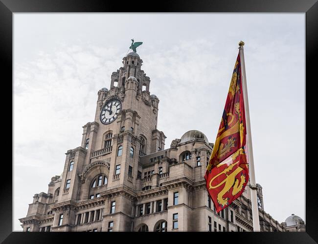 Royal arms of England in front of the Liver Building Framed Print by Jason Wells