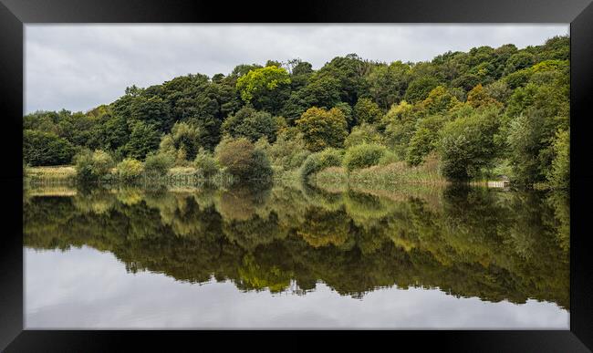 Reflections in a lake Framed Print by Jason Wells