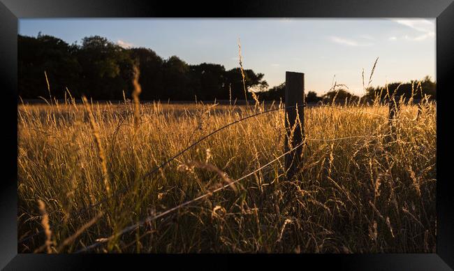 Wire fence backlit by sunset Framed Print by Jason Wells