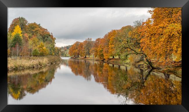 Autumn colours reflect in the River Wharfe Framed Print by Jason Wells