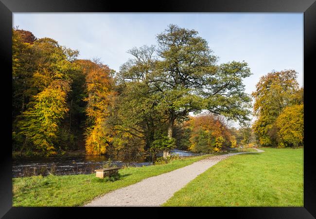 Pathway along the Wharfedale Valley Framed Print by Jason Wells