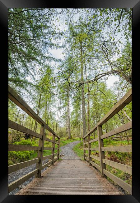 Tranquil Footbridge in the Heart of Lake District Framed Print by Jason Wells