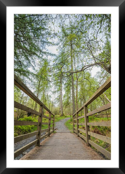 Tranquil Footbridge in the Heart of Lake District Framed Mounted Print by Jason Wells