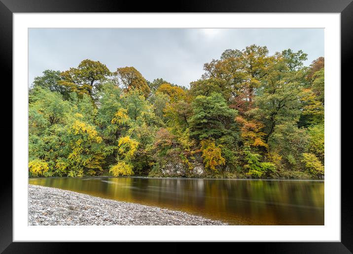 Autumnal colours along the River Wharfe Framed Mounted Print by Jason Wells