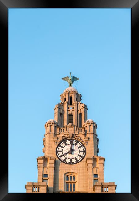 Liver Bird above a clock tower Framed Print by Jason Wells