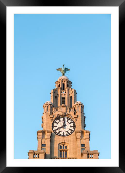 Liver Bird above a clock tower Framed Mounted Print by Jason Wells