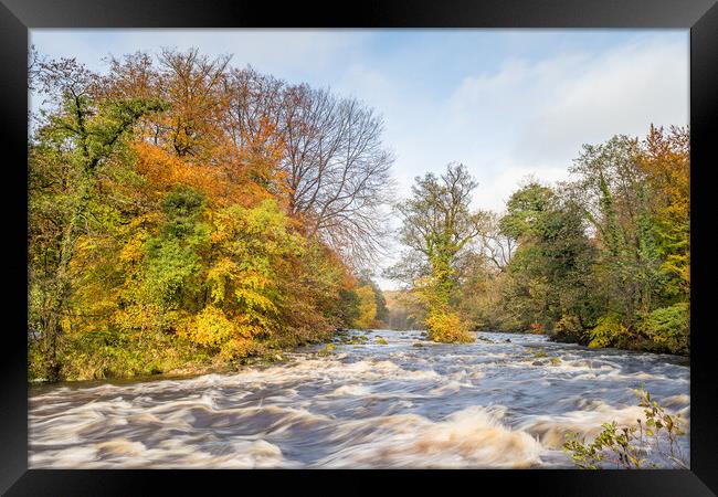 Fast flowing water down the River Wharfe Framed Print by Jason Wells