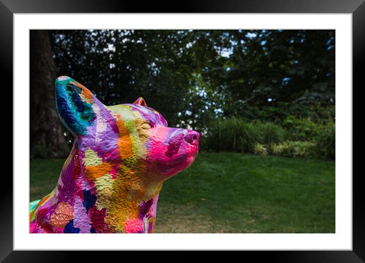 Multi coloured Corgi dog Framed Mounted Print by Jason Wells