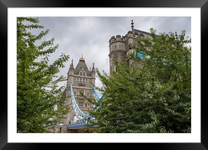 Tower Bridge seen between the trees Framed Mounted Print by Jason Wells