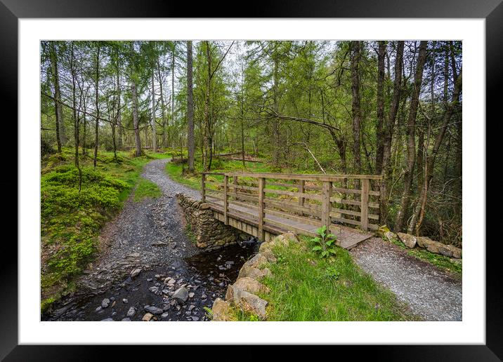 Footbridge over a stream in the Lake District Framed Mounted Print by Jason Wells