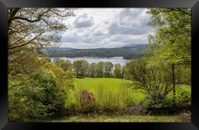 Trees framing Lake Windermere Framed Print by Jason Wells