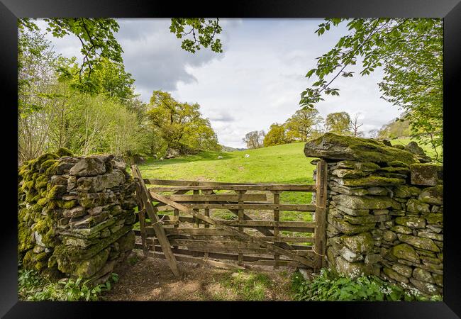 Traditional wooden gate between stone walls in the Lake District Framed Print by Jason Wells