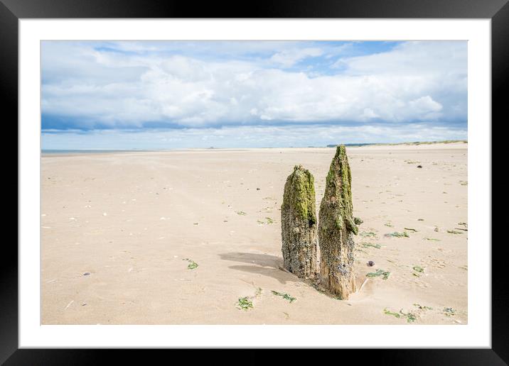 Old groynes on Titchwell beach Framed Mounted Print by Jason Wells