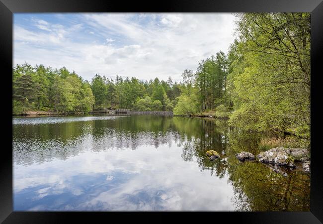 Reflections on High Dam Tarn Framed Print by Jason Wells