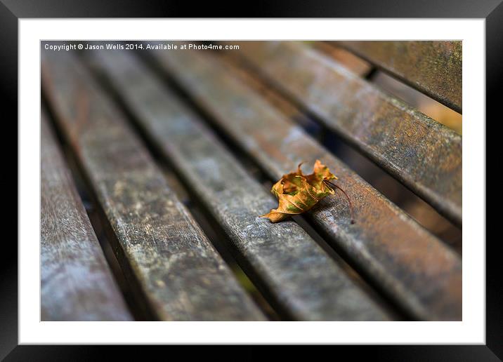Leaf on the bench Framed Mounted Print by Jason Wells