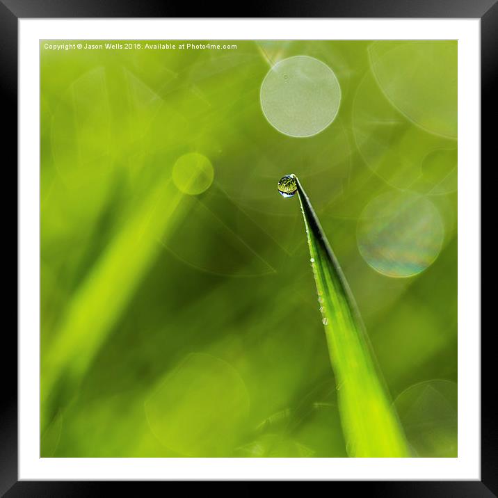  Droplet waiting to fall Framed Mounted Print by Jason Wells