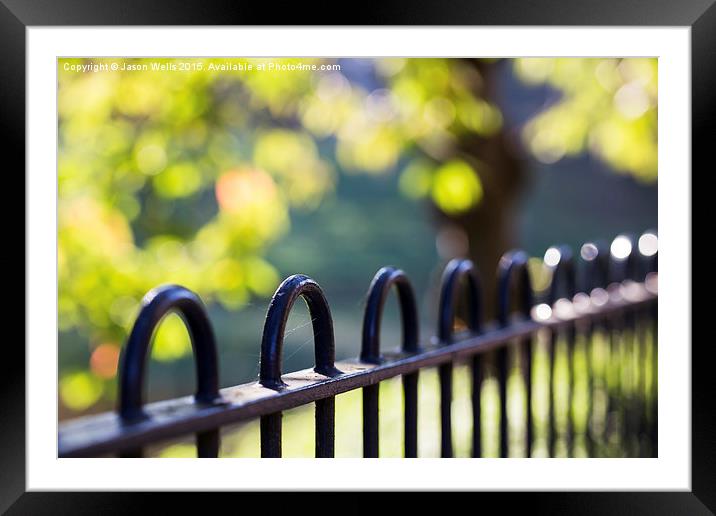 Railings at Sefton Park Framed Mounted Print by Jason Wells