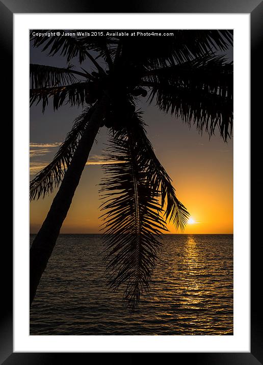 A lone palm tree at sunrise Framed Mounted Print by Jason Wells