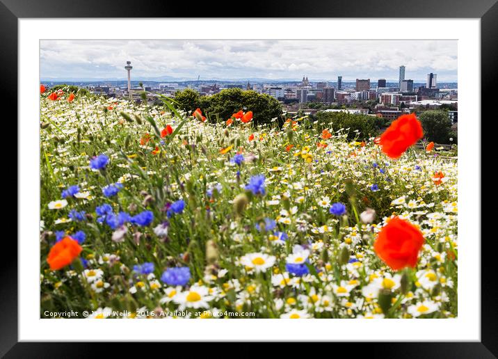 Widlflowers in front of the Liverpool skyline Framed Mounted Print by Jason Wells