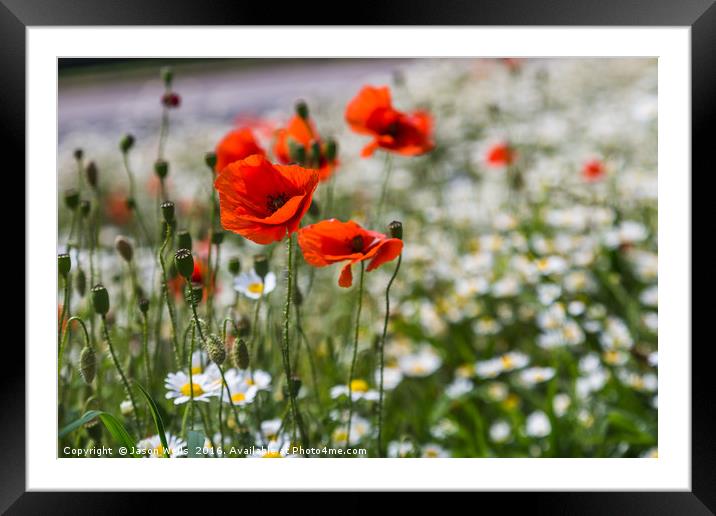 Poppys in front of a sea of bokeh Framed Mounted Print by Jason Wells