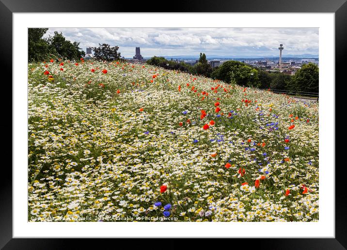Liverpool's cathedrals in the distance Framed Mounted Print by Jason Wells