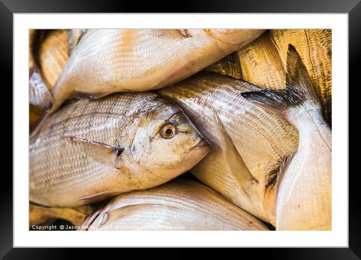 Fresh fish ready for sale Framed Mounted Print by Jason Wells