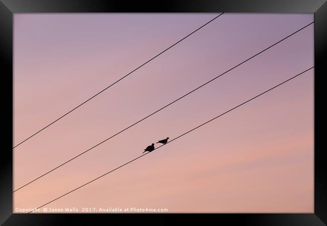 Pair of pigeons on a telegraph wire Framed Print by Jason Wells