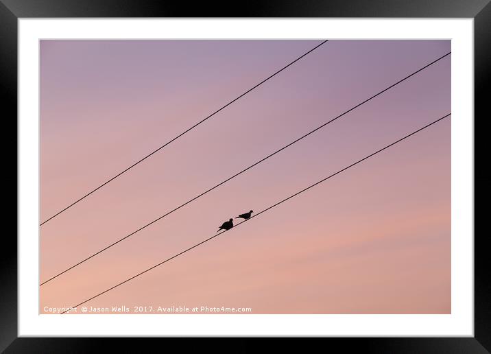 Pair of pigeons on a telegraph wire Framed Mounted Print by Jason Wells