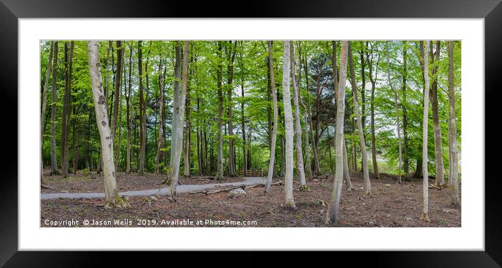 Gait Barrows Nature Reserve Framed Mounted Print by Jason Wells