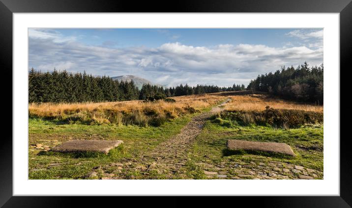 Beacon Fell Country Park Framed Mounted Print by Jason Wells