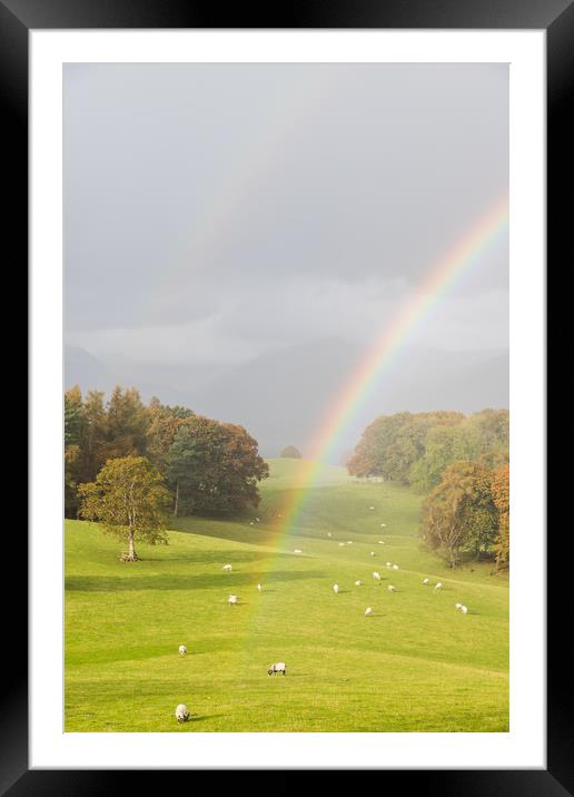 Double rainbow over the Lake District Framed Mounted Print by Jason Wells