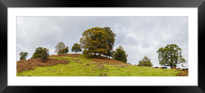 Rolling hills above Lake Windermere  Framed Mounted Print by Jason Wells