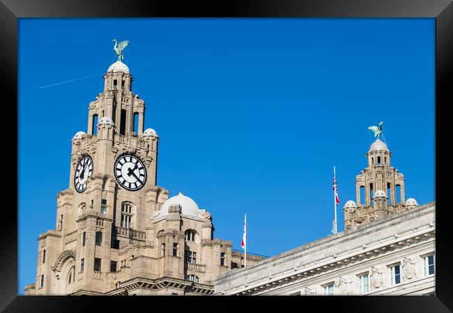 Plane overflies the Liverbirds Framed Print by Jason Wells