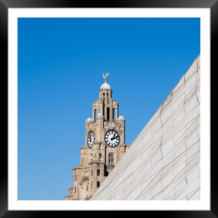 Square crop of the Liverbird Framed Mounted Print by Jason Wells