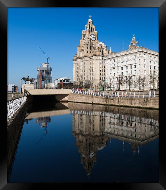 Reflections of the Liver Building Framed Print by Jason Wells