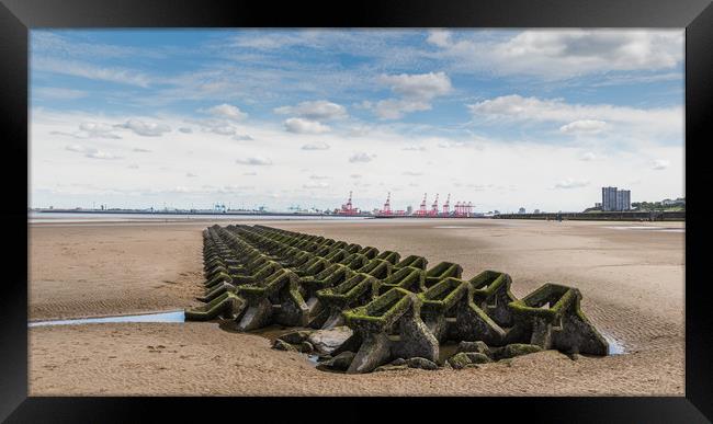 Honeycomb sea defence in Wallasey beach Framed Print by Jason Wells