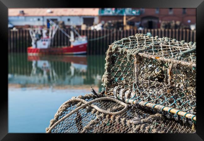 Crab pots in the quayside in Scarborough Framed Print by Jason Wells
