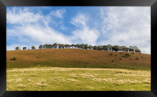 Tree lined hill on the North Yorkshire Moors Framed Print by Jason Wells