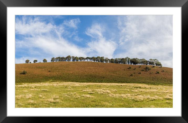 Tree lined hill on the North Yorkshire Moors Framed Mounted Print by Jason Wells