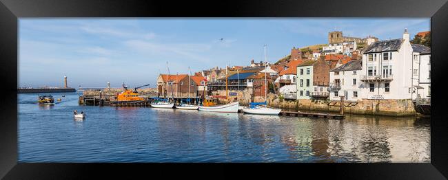 Yachts lined up in Whitby harbour Framed Print by Jason Wells