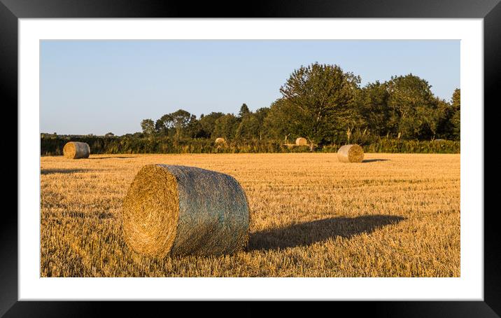 Hay bales in a small field Framed Mounted Print by Jason Wells